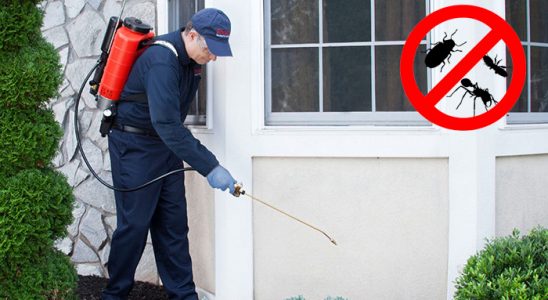 Üzümlü Dezenfeksiyon böcek ilaçlama ve haşere kontrolü — ilaclama-tr.com